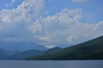 DSC_3947 (Large).JPG